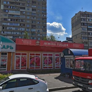 Larysy Rudenko Street, No:11, Kiev: Fotoğraflar