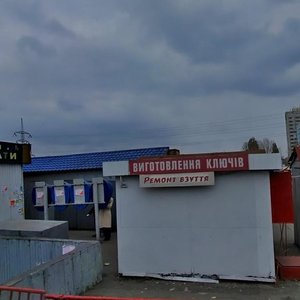 Popudrenka Street, 50Б, Kyiv: photo