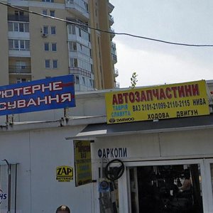 Львов, Улица Леонида Перфецкого, 11: фото
