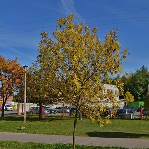 Liashchynskaga Street, 10, Minsk: photo