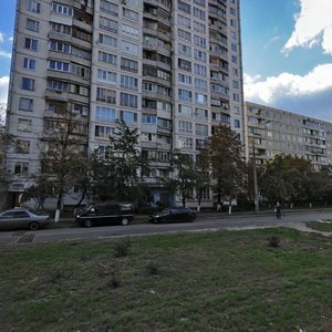 Marshala Rokosovskoho Avenue, 6, Kyiv: photo