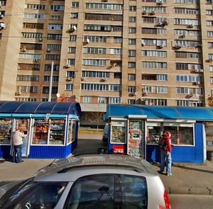 Oleksandra Dovzhenka Street, 14, Kyiv: photo