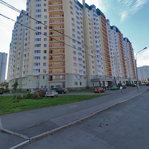 Санкт‑Петербург, Богатырский проспект, 52к1: фото