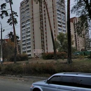 Chornobylska Street, 2, : foto