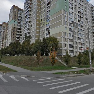 Mykoly Ushakova Street, 16 ، كييف: صورة