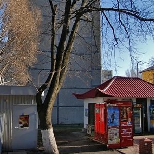 Tatarsky Lane, 8, Kyiv: photo