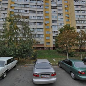 Ivana Puliuia Street, 3, Kyiv: photo