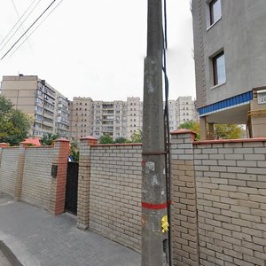 Feofila Yanovskoho Street, 2, Kyiv: photo