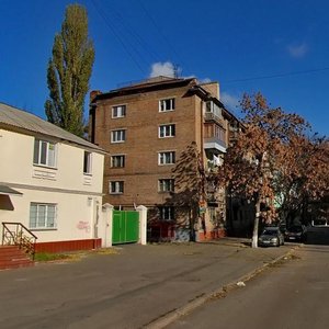 Obolonska Street, 31, Kyiv: photo