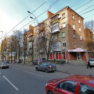 Lesi Ukrainky Boulevard, 15, Kyiv: photo