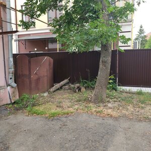 Chaykovskogo Street, 12/22 ، : صورة