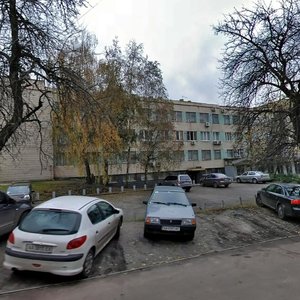Starokyivska Street, 10, : foto