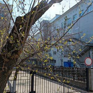 Moskovskaya Street, 27, : foto