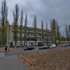 Sholom-Aleikhema Street, 18, Kyiv: photo