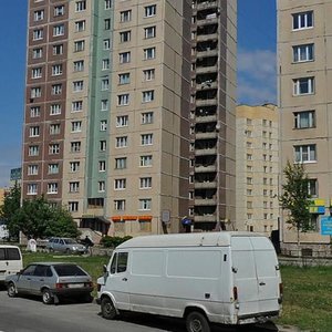 Desantnikov Street, 22, Saint Petersburg: photo