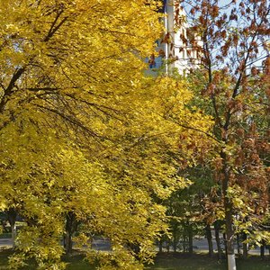 Khimikov Avenue, 48, Nizhnekamsk: photo