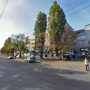 Vulytsia Haharina, 11, : foto