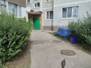 Druzhby Narodov Avenue, 1, Ulyanovsk: photo