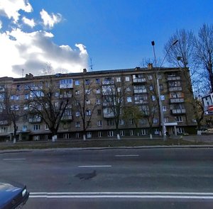 Oleny Telihy Street, 9, Kyiv: photo