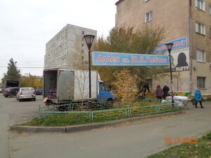 Омск, Улица 10 лет Октября, 175: фото