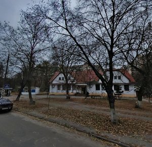 Henerala Naumova Street, 29, Kyiv: photo