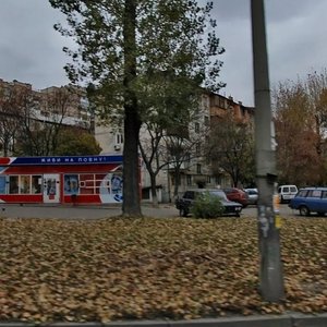 Liubomyra Huzara Avenue, 8, Kyiv: photo