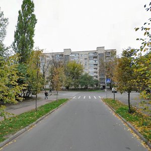 Donetska Street, 35, Kyiv: photo