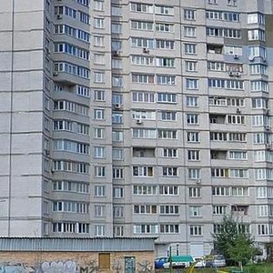 Akademika Bulakhovskoho Street, 5Б, Kyiv: photo