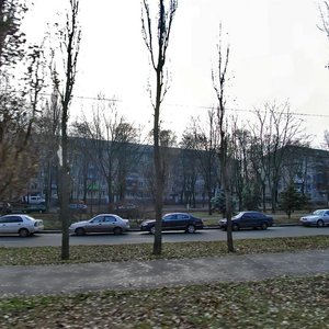 Vatslava Havela Boulevard, 15, Kyiv: photo