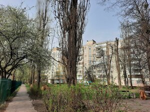 Volhohradska Street, 39, Kyiv: photo