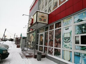 Barnaulskaya ulitsa, 42, Omsk: photo