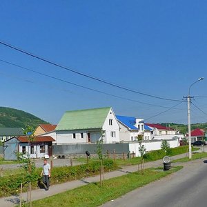 Vulytsia Danyla Halytskoho, 81, Mukactevo: photo