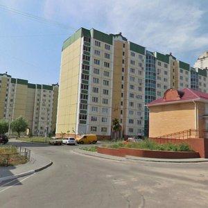 Воронеж, Улица Шишкова, 95: фото