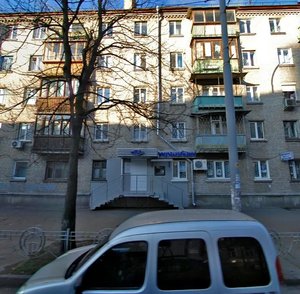 Moskovska Street, 24, Kyiv: photo