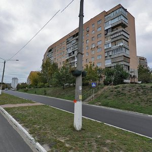 Prospekt Shevchenka, 9, Vyshhorod: photo