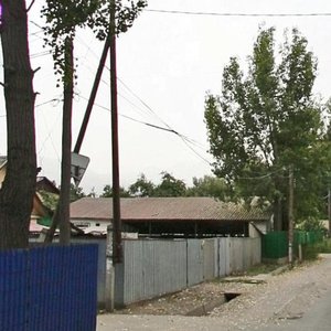 Krylov kóshesi, 17, : foto