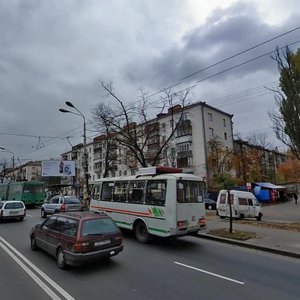 Holosiivskyi Avenue, 94к1, Kyiv: photo
