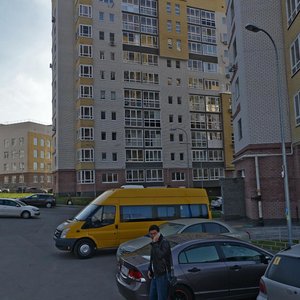 Нижний Новгород, Улица Родионова, 193к7: фото