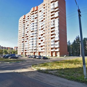 , Kosmonavtov Street, 56: foto