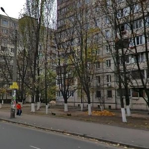 Hnata Yury Street, 4, Kyiv: photo