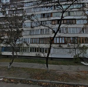 Borschahivska Street, 2, Kyiv: photo