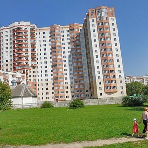 Vulytsia Petra Pancha, 18Б, Lviv: photo