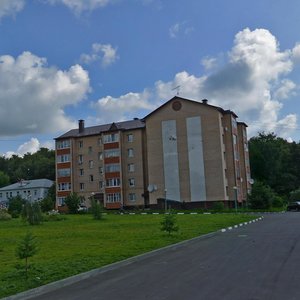 Schapovo Village, 48, Moscow: photo