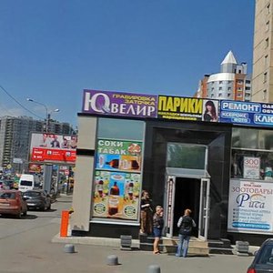 Санкт‑Петербург, Проспект Просвещения, 36к1: фото