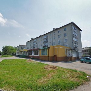 Volodymyrska vulytsia, 103, Lutsk: photo