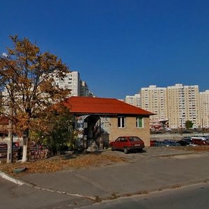 Onore De Balzaka Street, 40А, Kyiv: photo