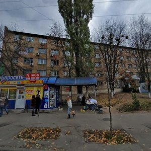 Hnata Yury Street, 9, Kyiv: photo