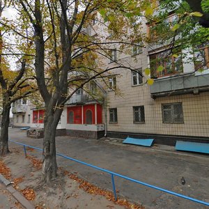 Martyrosiana Street, 3, Kyiv: photo