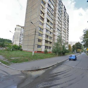 Feodory Pushynoi Street, 2 ، كييف: صورة