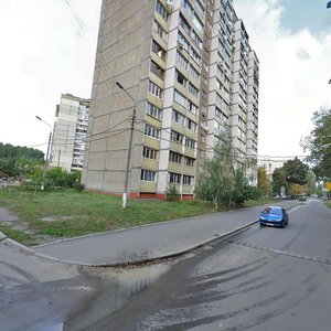 Feodory Pushynoi Street, 2, Kyiv: photo